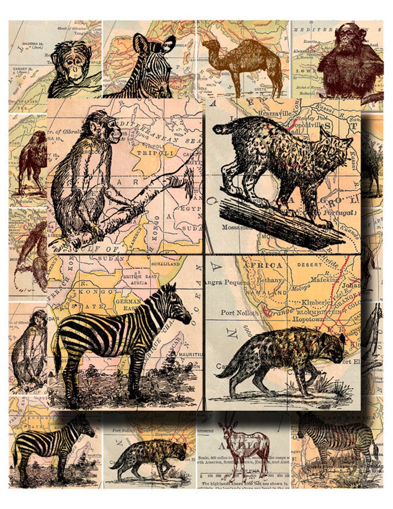 wild animal collage sheet, zebras, orangutans, elephants, etc. with antique map background, 2 x 2 inch digital download no. 136 image 4