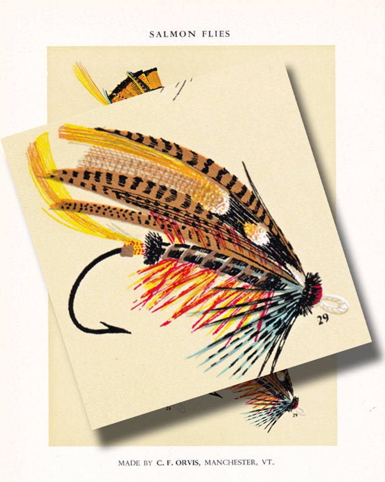 fly fishing print from the 19th century, printable digital download, collage sheet no. 958 image 5