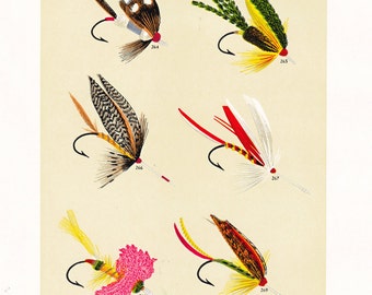 Fly Fishing Print From the 19th Century, Printable Wall Art