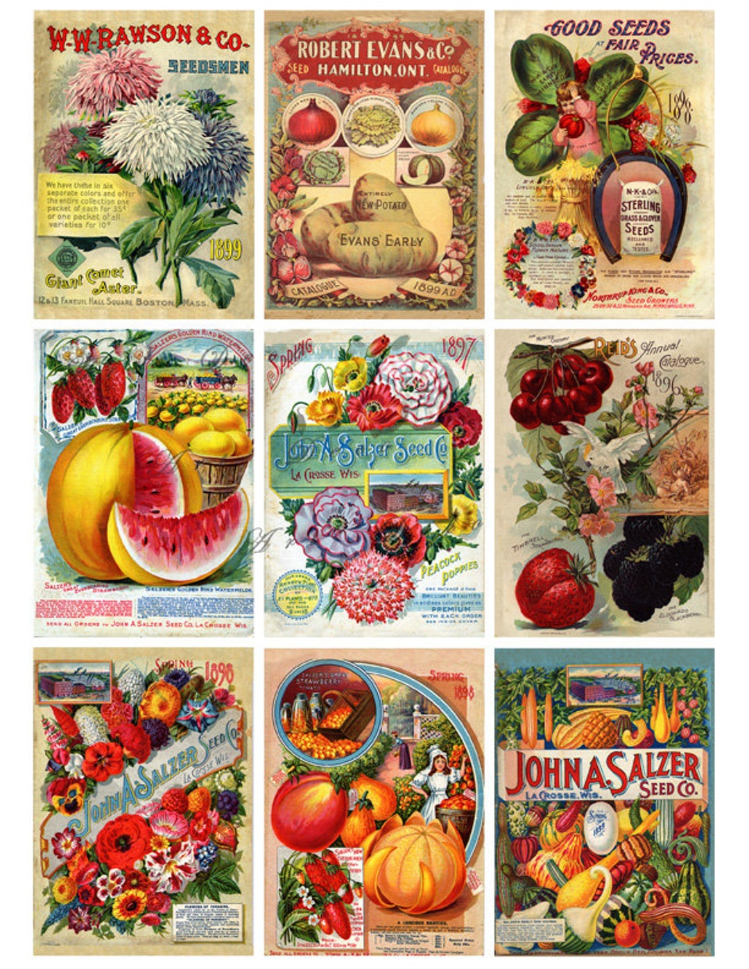 Vintage Seed Packets