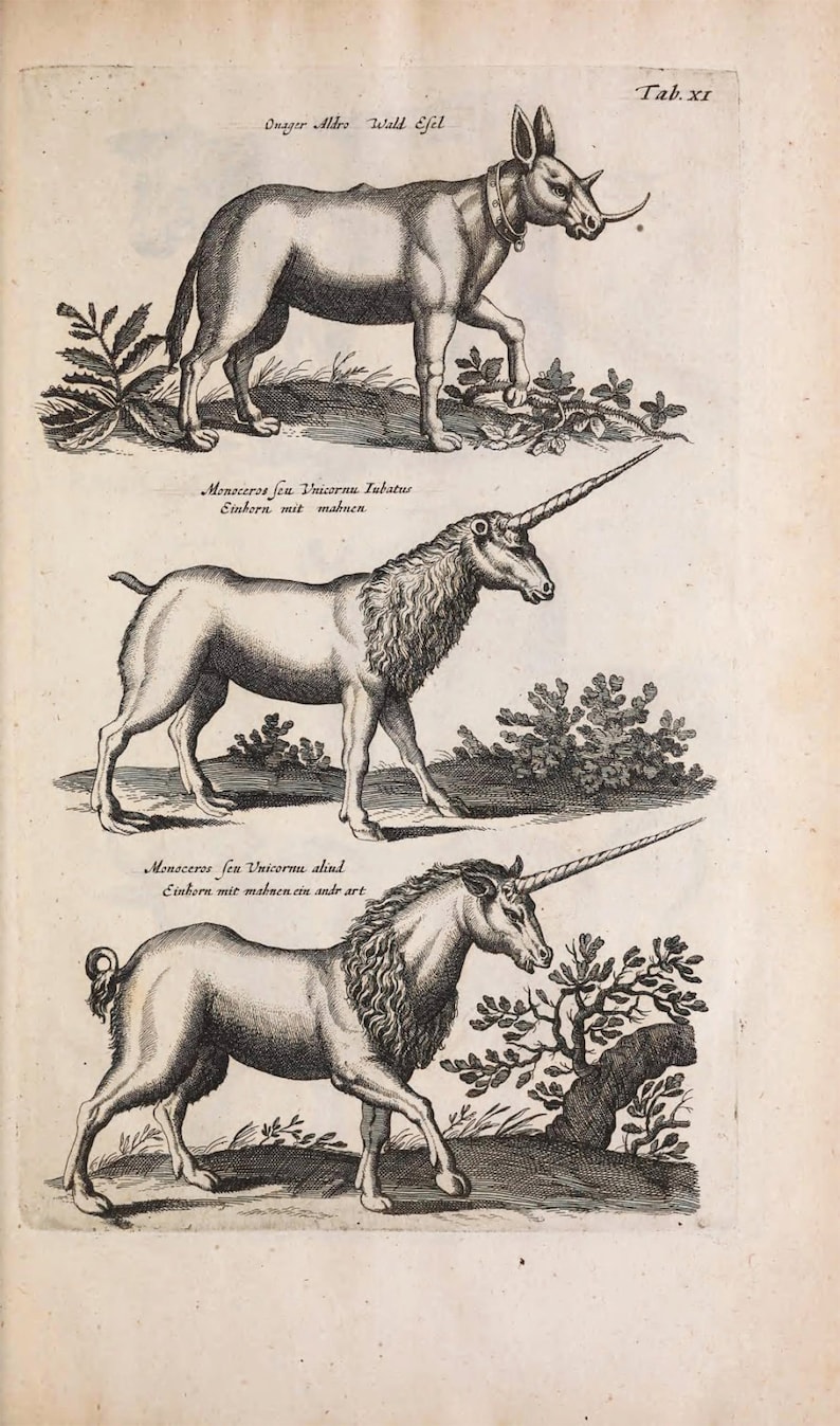 antique unicorn wall art printable home decor no 1433 etsy