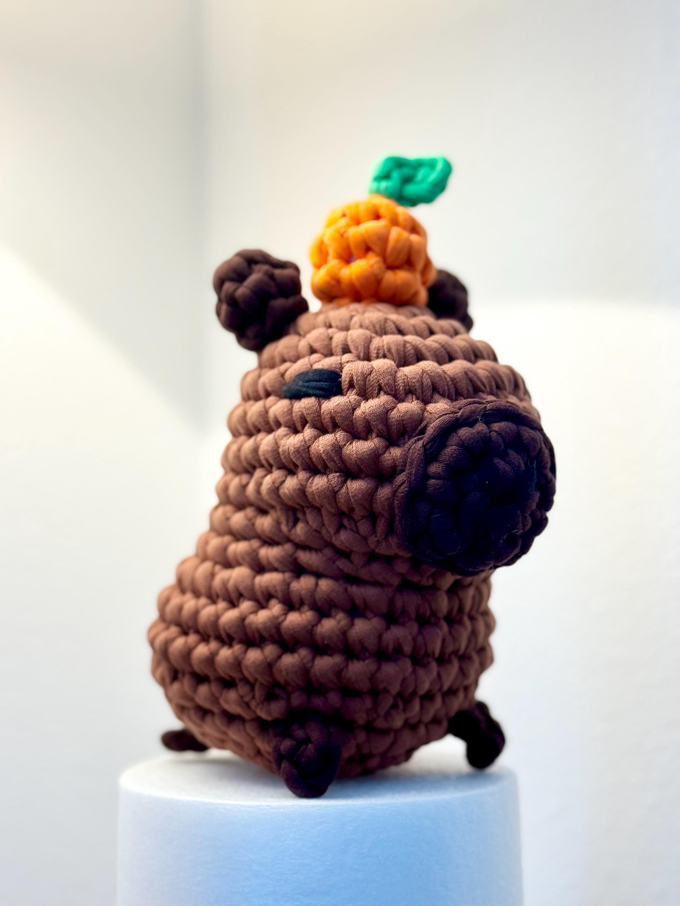 あみぐるみ　ハンドメイド　カピバラ　夏♡ あみぐるみ ハンドメイド カピバラ 夏♡