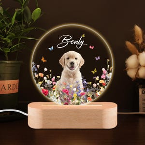 Custom Pet Night Light, Personalized Dog Photo Lamp, Pet Memorial Gift with Name, Dog Lover Light Decor, Dog Mom Gift Idea