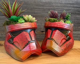 Sith trooper Helmet Centerpiece Planter succulents air plants  terrarium Sithtrooper