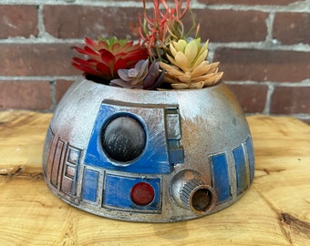 R2-D2 Dome Head Planter succulents air plants  terrarium decor