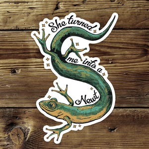 May include: A die-cut sticker featuring a green and yellow newt curled into an S-shape. The text "She turned me into a Newt" is written in black cursive script around the body of the newt, accented by small four-pointed star illustrations.