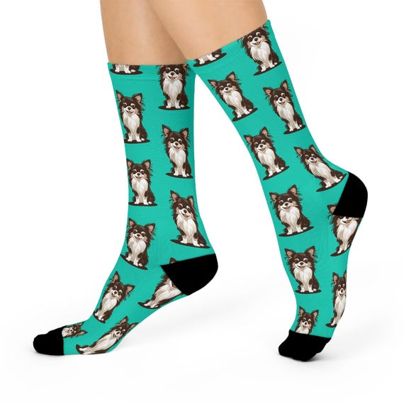Chihuahua Aqua Socks Chihuahua Aqua Socks