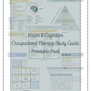 NBCOT Vision and Cognition Study Guide Printable Bundle