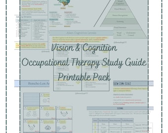NBCOT Vision and Cognition Study Guide Printable Bundle