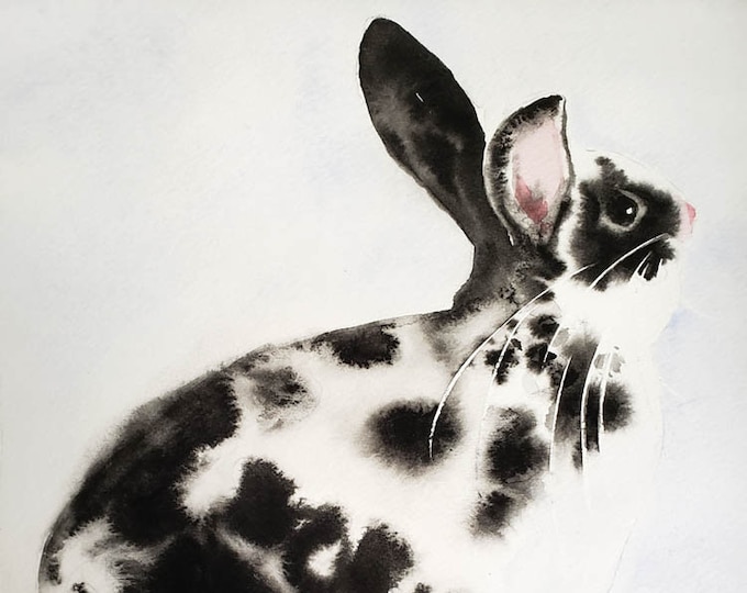 Print of a Black and White Mini Rex Bunny Rabbit Watercolor Painting ...