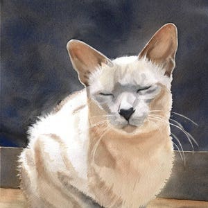 Print Tonkinese Siamese Cat Art Print of a watercolor Painting Big Large Huge Cat Lover Gift Lilac Blue Point Decor Picture