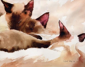 Chocolate Point Siamese Cat Art Print from my Watercolor Painting Big Large Huge