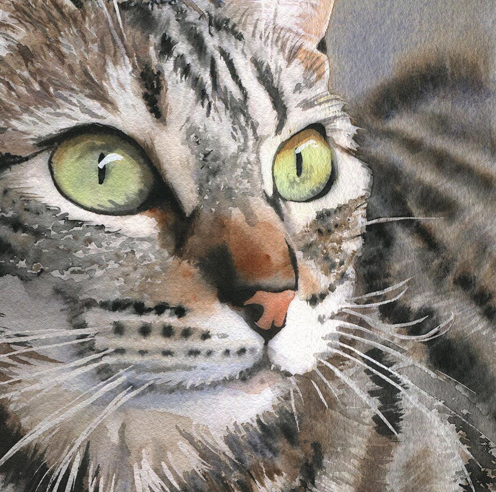 Tabby Cat Art Print of My Watercolor Painting Brown Gray Black Tiger ...
