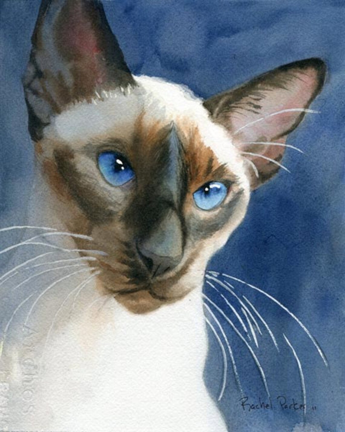 Siamese Cat Art PRINT Giclée Watercolor Painting on Blue Large Etsy