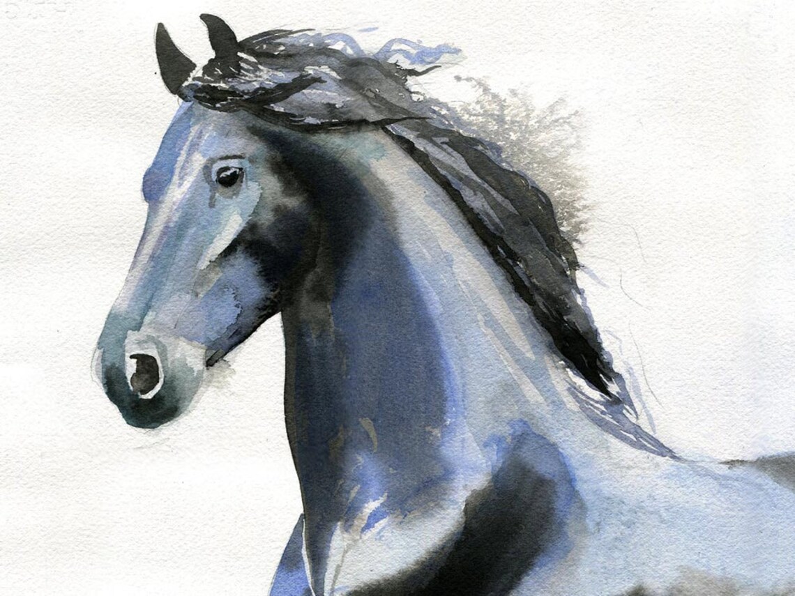 Friesian Horse Art PRINT Warmblood Reproduction of a Etsy