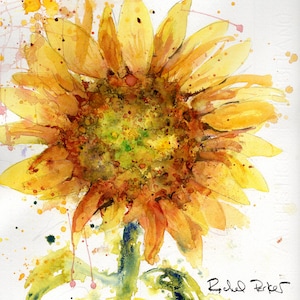 Art Print of a Loose Bright Impressionistic Sunflower  Watercolor Painting