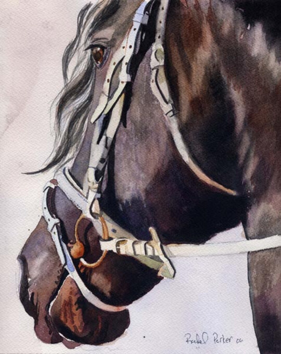 Friesian Horse Art Watercolor Painting PRINT Equine Artist
