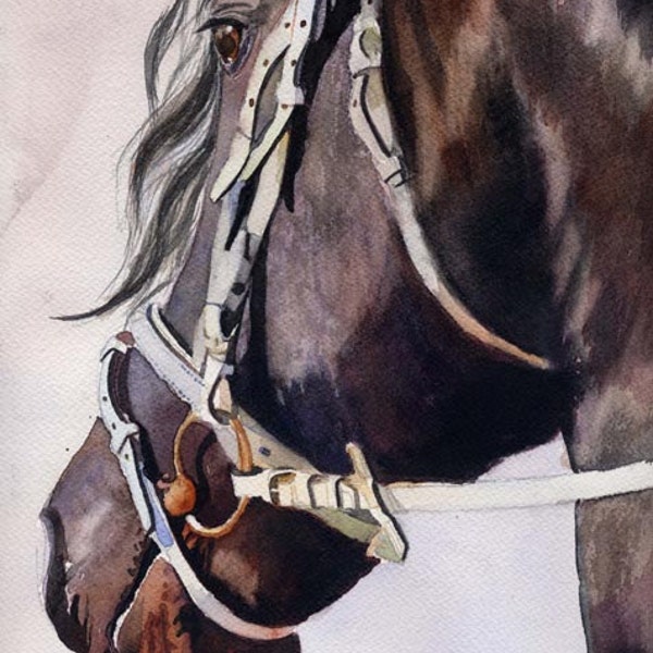 Friesian Morgan Horse Art Watercolor Painting PRINT  Equine artist Rachel Parker rachelsstudio Big Large Huge