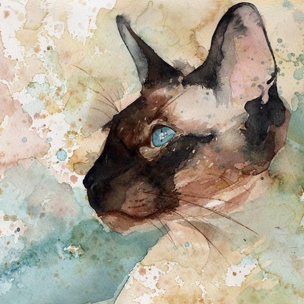 Syjamski Kot Czekoladowy Seal Point Art Print mojego obrazu akwarelowego Na Oknie Zegarek