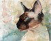 Siamese Cat Chocolate Seal Point Art Print of my Watercolor painting On Window Watch