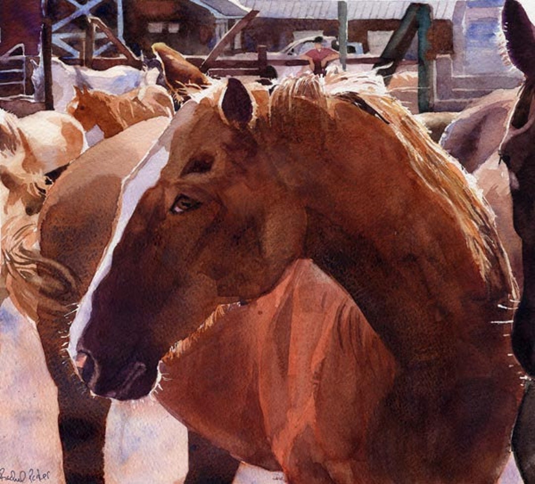 PRINT Quarter Horse Art Warmblood Horse From My Watercolor