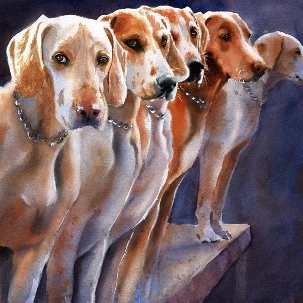 Penn-Marydel Hound dogs Foxhunt Print of my watercolor art painting