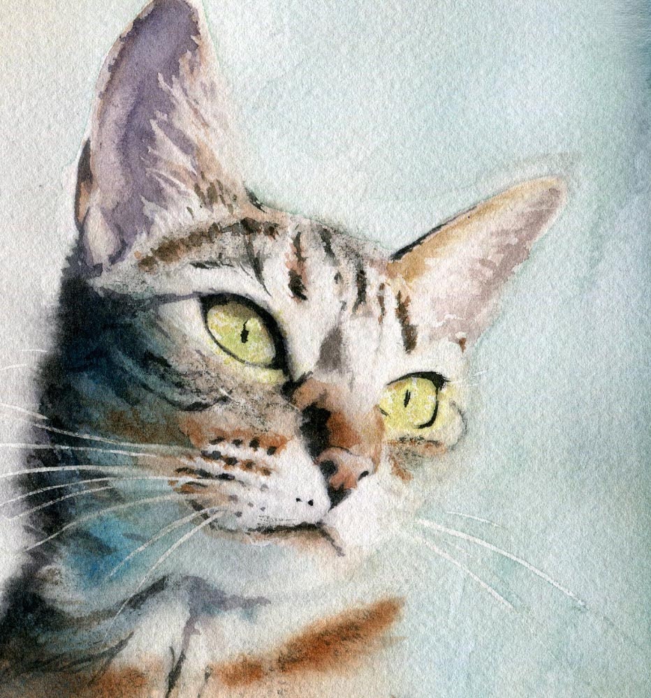 Tabby Cat Giclee Art Print of a Watercolor Painting Big Large Huge ...