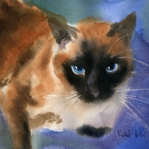 Applehead Cat Art PRINT of a Watercolor Painting Pet Portrait 4 Christmas Gift large big custom hand painted seal point chocolate point