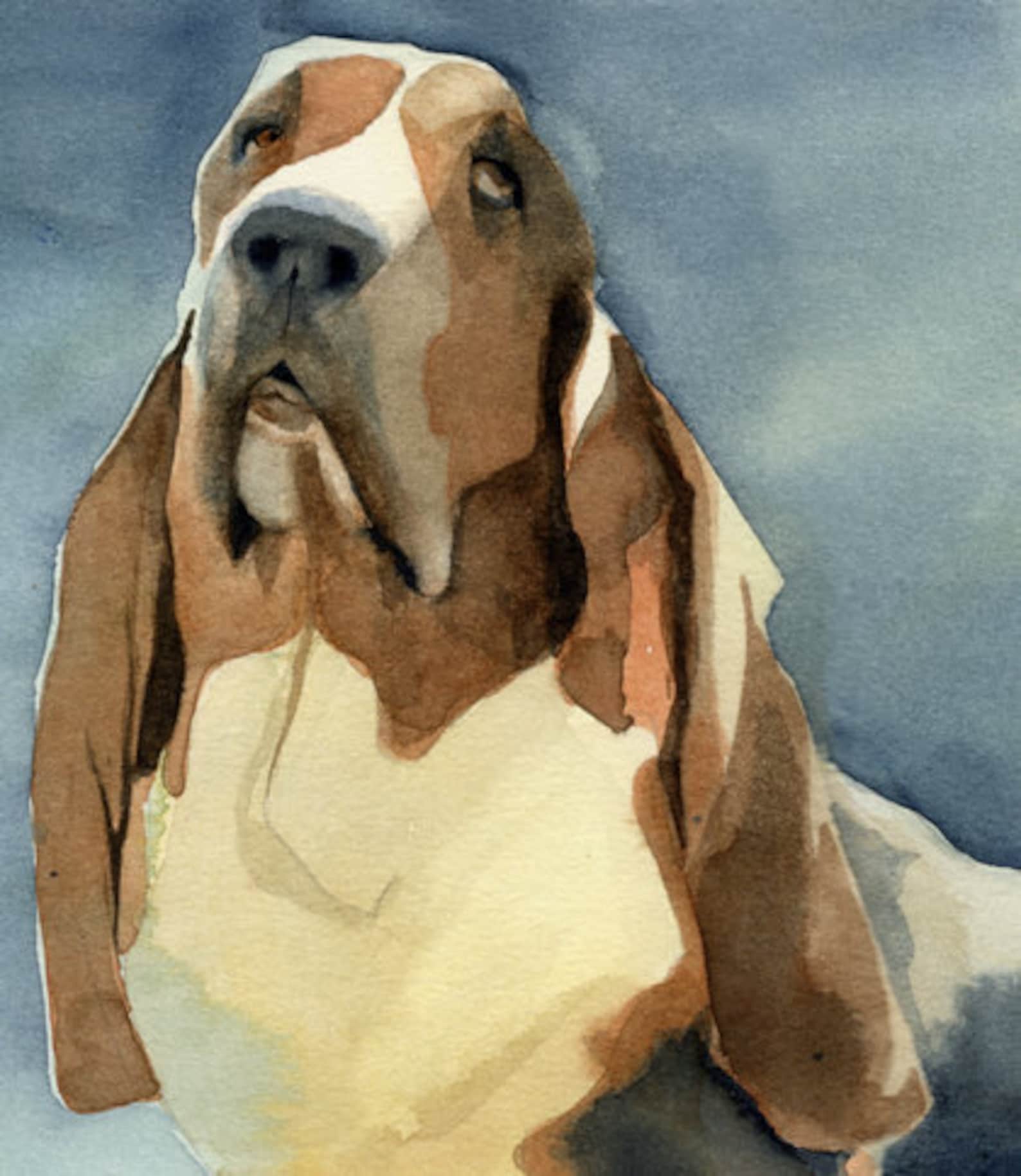 Basset Hound Dog Art Print of My Watercolor Painting - Etsy