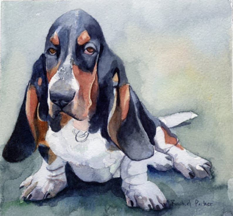 Basset Hound Art Print of My Watercolor Painting Basset Hound - Etsy Canada