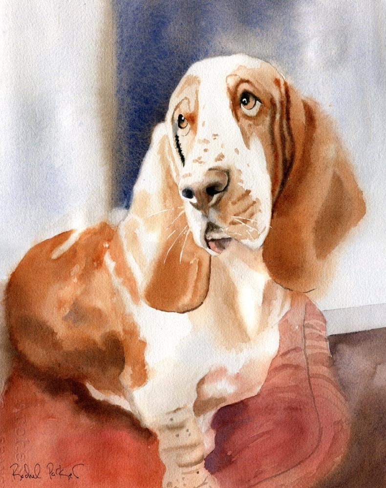 Print Basset Hound Portrait Art Watercolor Painting Art Pet | Etsy