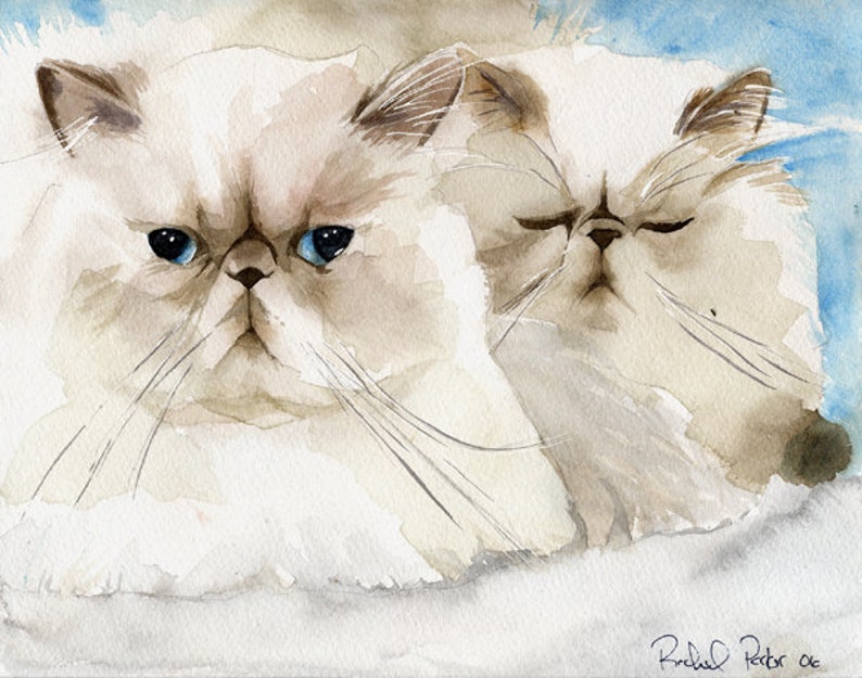 Persian Cat Art Print of My Watercolor Painting White Long Etsy