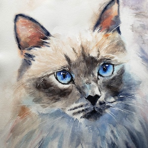 Art Print of a Ragdoll  Cat  Watercolor Painting