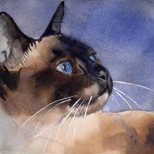 Chocolate point Applehead Siamese Cat Art Print of my watercolor painting seal point large big huge