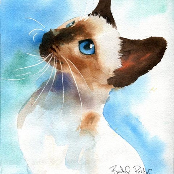 Siamese Seal Chocolate Point cat art Stampa del mio dipinto ad acquerello