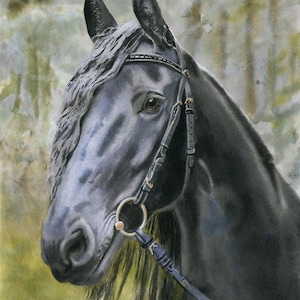 Friesian Horse art Morgan Warmblood Yearling Print of a watercolor Painting Big Large Huge Girls Teens Horse Lover Unique Gift