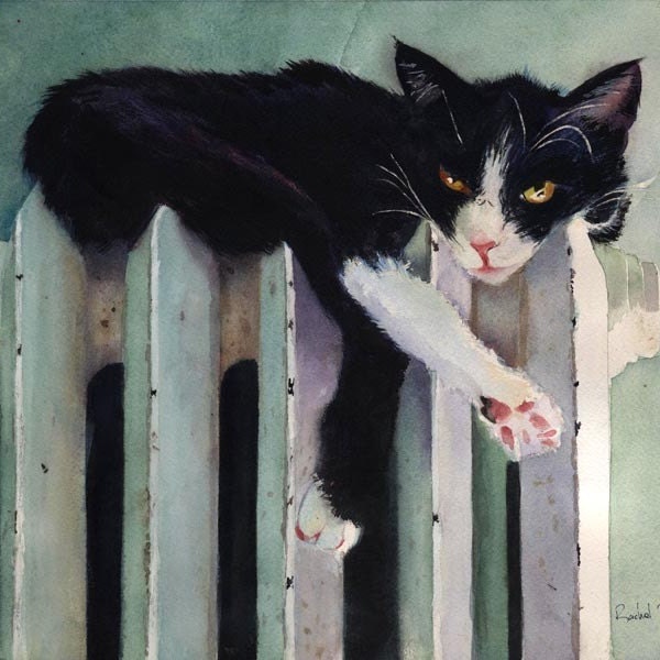 Tuxedo Cat art Print of my original watercolor Toasty Tuxedo Black White