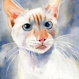 Può includere: Dipinto ad acquerello di un gatto bianco con segni arancioni sulle orecchie e sulla fronte. Il gatto ha occhi blu sorprendenti e un naso rosa. L'opera è firmata "Rachel Parker" in basso a destra, su uno sfondo blu tenue.