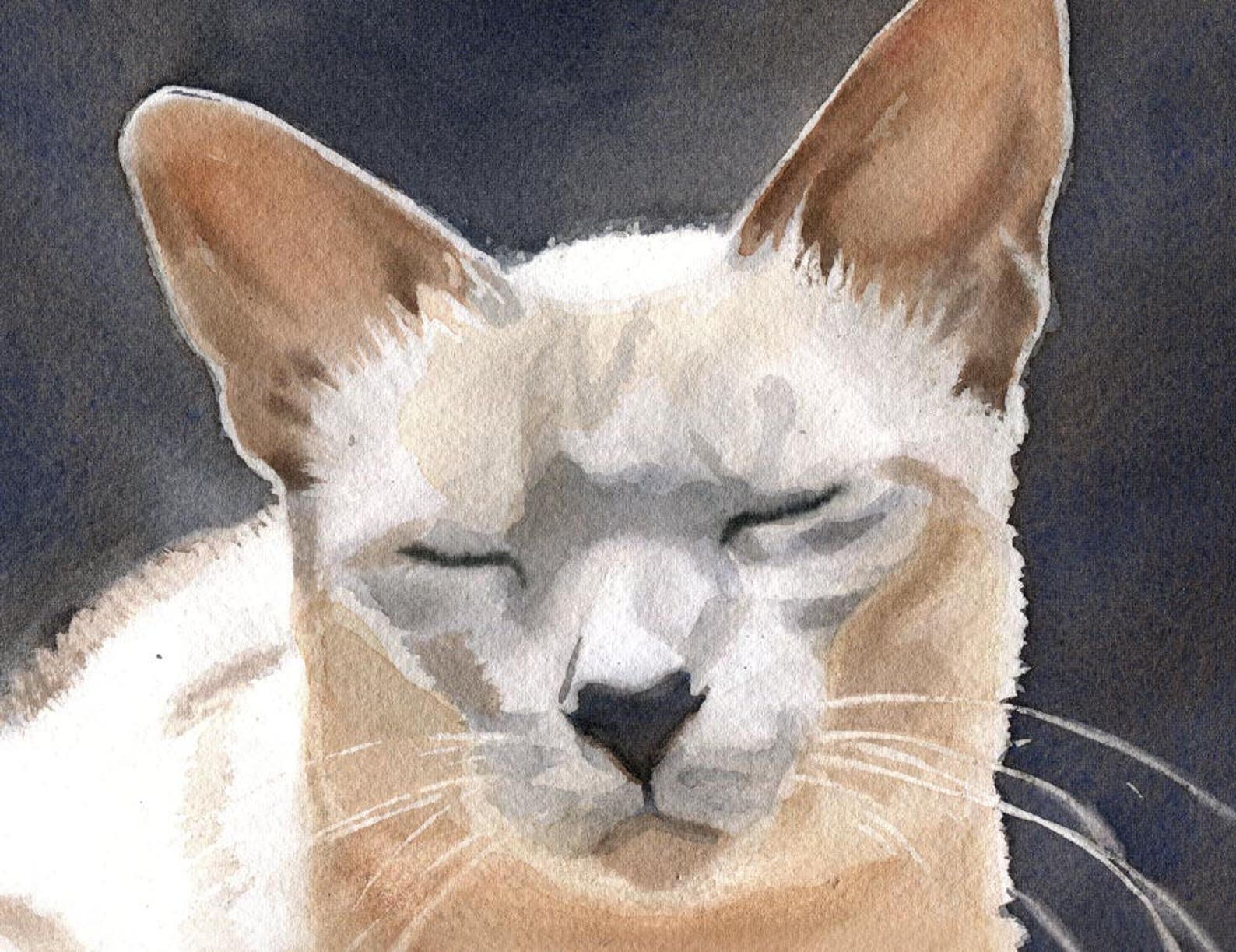 Print Tonkinese Siamese Cat Art Print of a Watercolor Painting Big ...