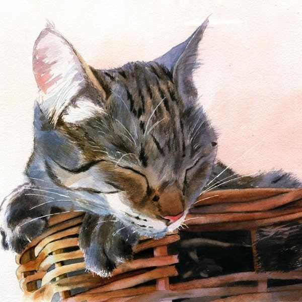 Brown Gray Tabby Cat Art Print of my watercolor painting Basket Case Cat Lover large big huge