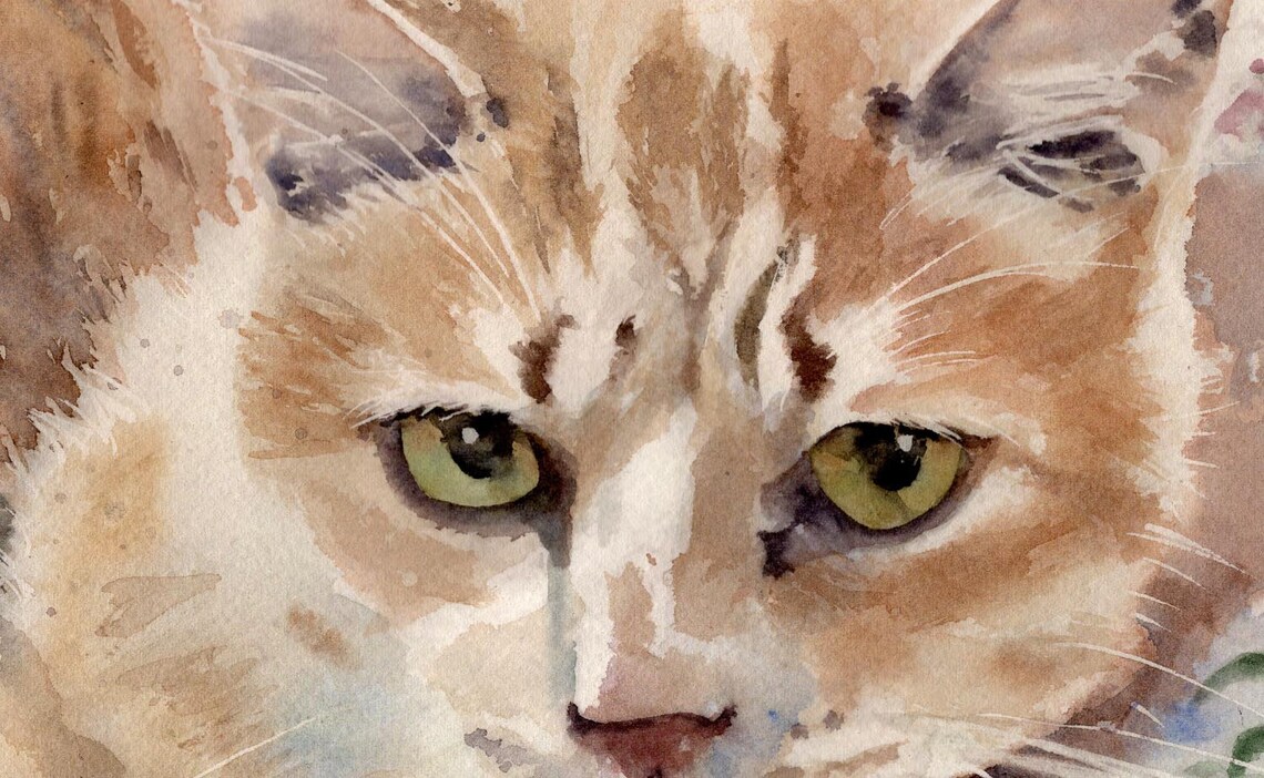Print of My Orange Tabby Cat Watercolor Painting Options for Big, Hand ...