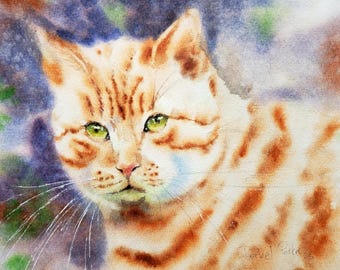 楽天市場】ベンガル 猫の通販