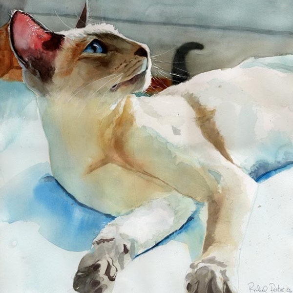 Siamese Cat Art Print of my watercolor painting   Siamese in Peacock Shadows Huge Big Large Custom