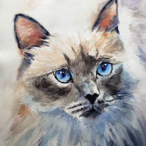 Original Ragdoll Cat Art Watercolor Painting