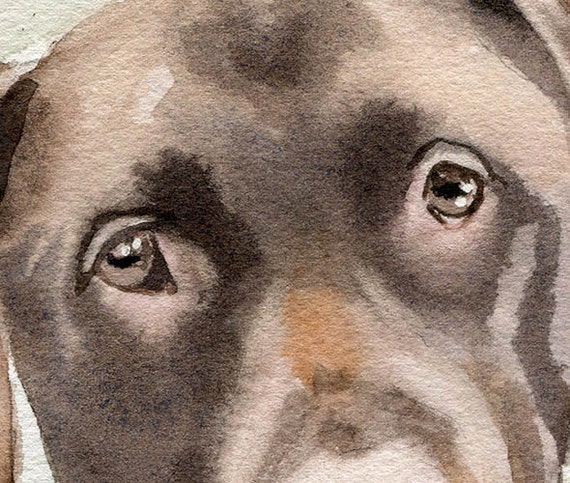 Chocolate Labrador Retriever Dog Art Print Watercolor Painting Lab