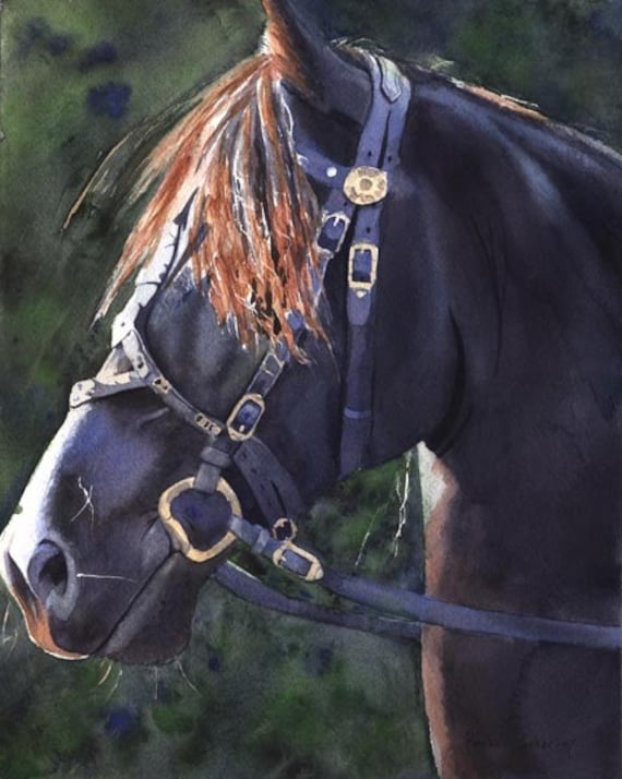 Giclee Print Watercolor Painting Morgan Friesian Black Horse Art watercolor