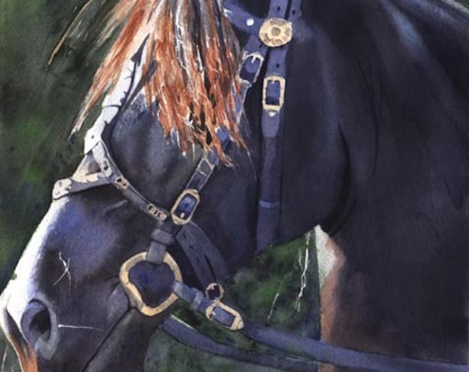 Friesian Horse Art Warmblood Yearling Print of a Etsy