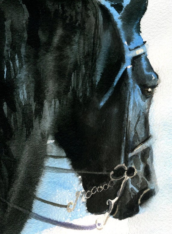 Giclee Print Watercolor Painting Friesian Morgan Andalusian Horse Art Bridled