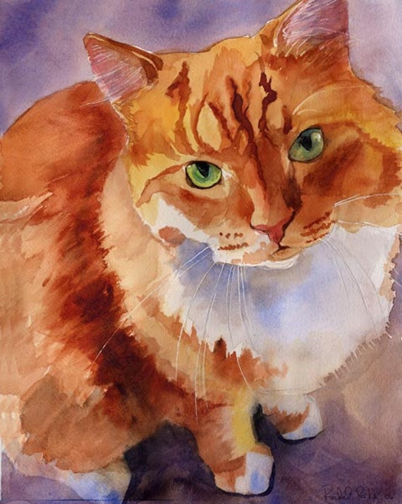 marmalade tabby cat