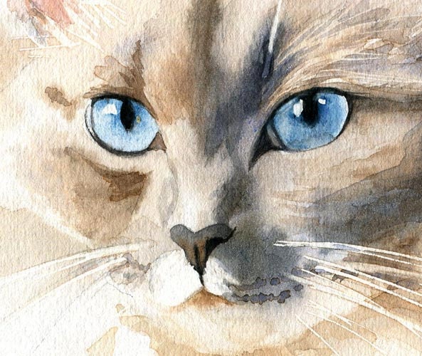 Wee Blue Coo Ragdoll Katzen Portrait Aquarell-Grußkarte – Geburtstagskarte Mit Haustier-Motiv, 12,5 X 17,5 Cm